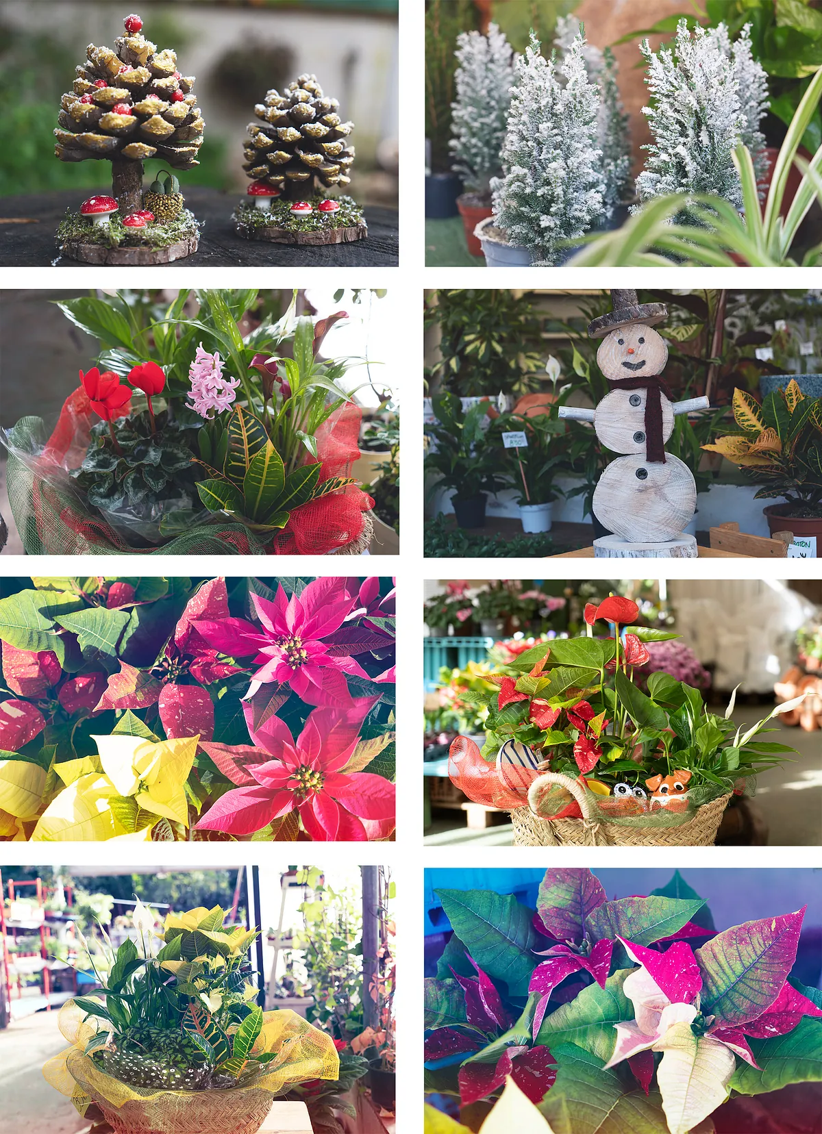 El Jardin de Popera ofrece multitud de productos decorativos navideños para crear un espacio acogedor y agradable estas navidades.